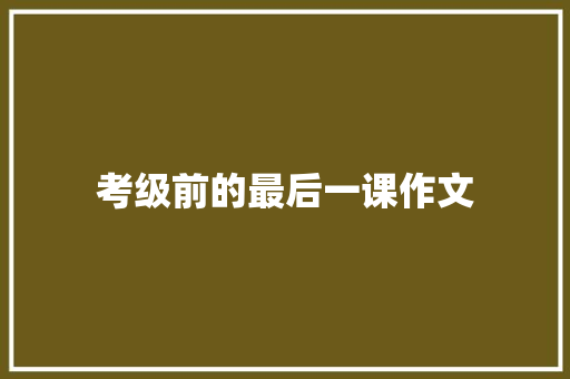 考级前的最后一课作文