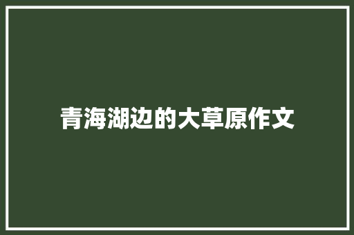 青海湖边的大草原作文