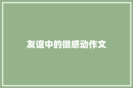 友谊中的微感动作文