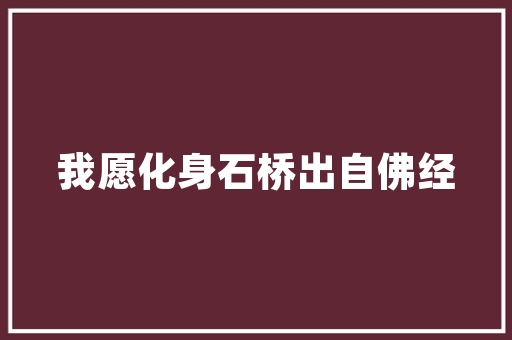 爱你和忘记  我都弗成以歌曲简介及歌词解读