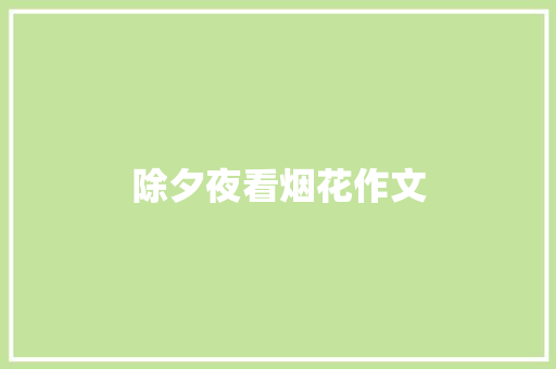 除夕夜看烟花作文