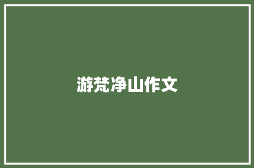 游梵净山作文