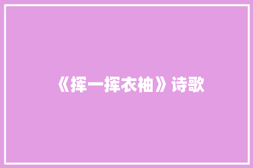 《挥一挥衣袖》诗歌