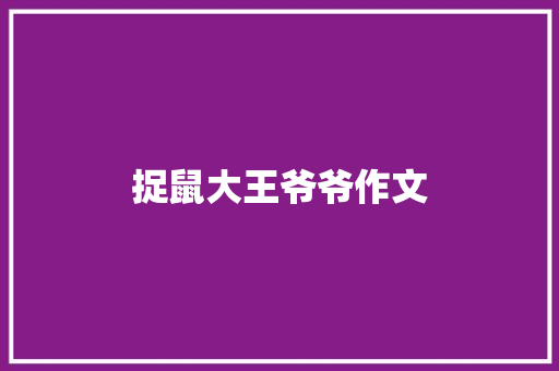 捉鼠大王爷爷作文