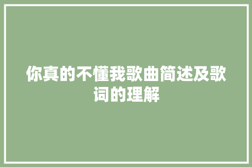你真的不懂我歌曲简述及歌词的理解