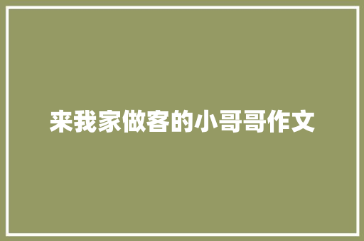 来我家做客的小哥哥作文