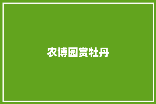 农博园赏牡丹