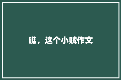 瞧，这个小贼作文
