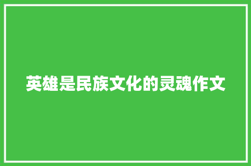 英雄是民族文化的灵魂作文