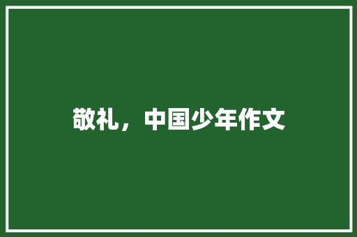 敬礼，中国少年作文