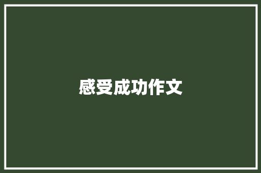 感受成功作文