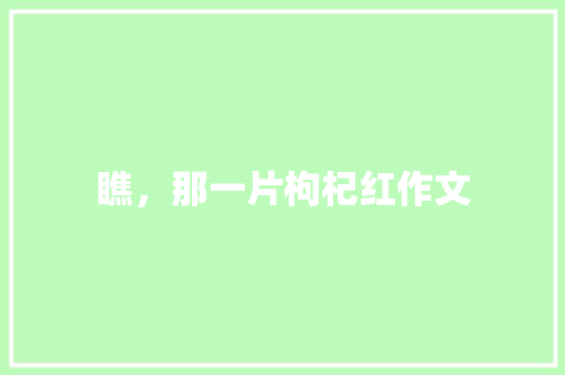 瞧，那一片枸杞红作文