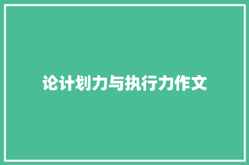 论计划力与执行力作文