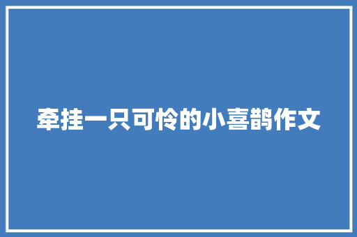 牵挂一只可怜的小喜鹊作文