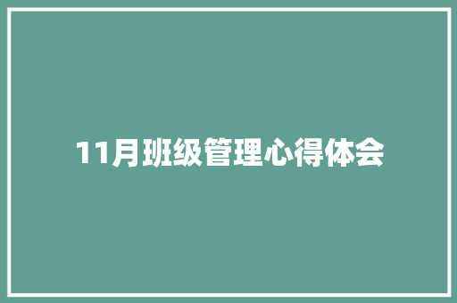 11月班级管理心得体会