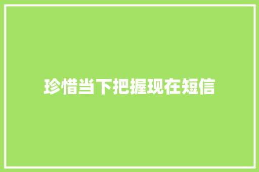 珍惜当下把握现在短信