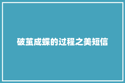 破茧成蝶的过程之美短信