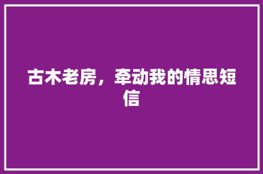 古木老房，牵动我的情思短信