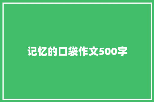 记忆的口袋作文500字