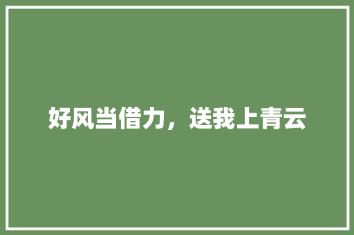好风当借力，送我上青云