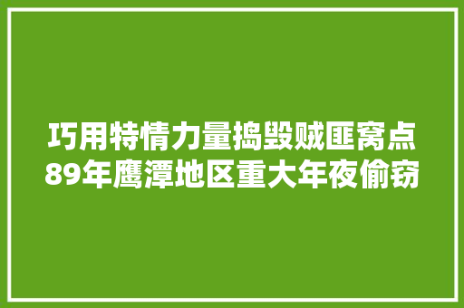巧用特情力量捣毁贼匪窝点89年鹰潭地区重大年夜偷窃抢劫团伙落网记