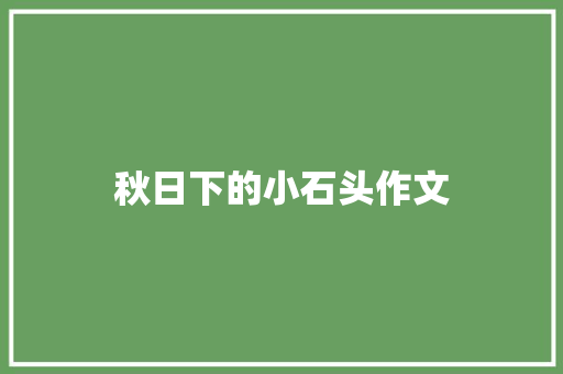 秋日下的小石头作文