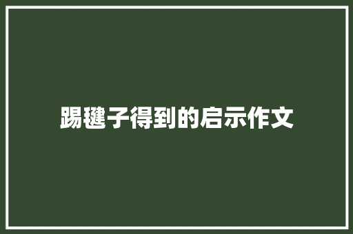 踢毽子得到的启示作文