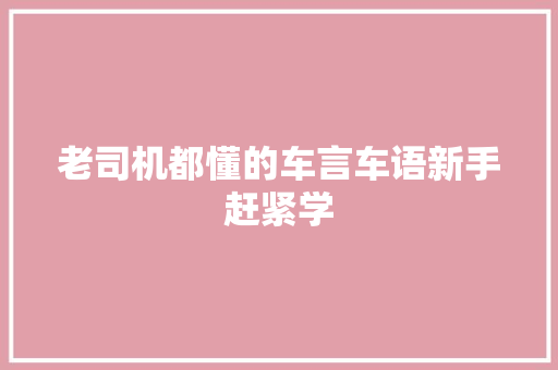 老司机都懂的车言车语新手赶紧学