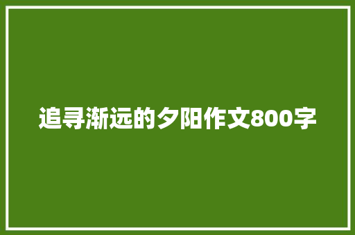 追寻渐远的夕阳作文800字