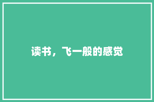 读书，飞一般的感觉
