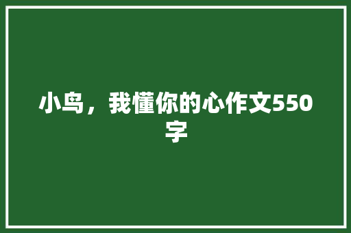小鸟，我懂你的心作文550字
