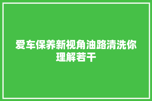 爱车保养新视角油路清洗你理解若干 汽车知识