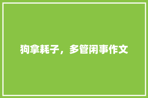 狗拿耗子，多管闲事作文