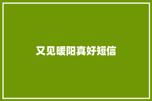 又见暖阳真好短信