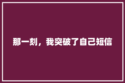 那一刻，我突破了自己短信