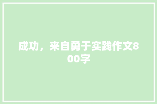 成功，来自勇于实践作文800字