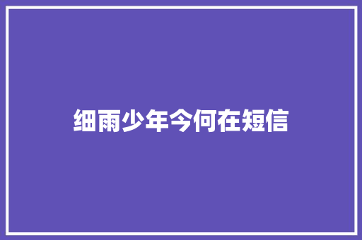细雨少年今何在短信