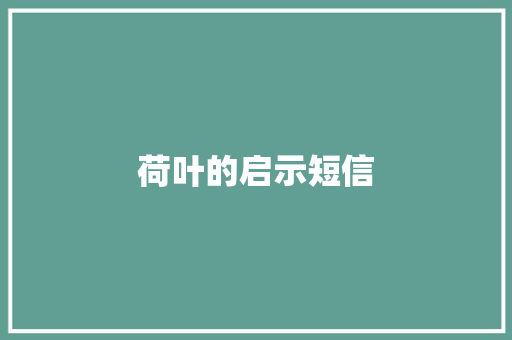 荷叶的启示短信