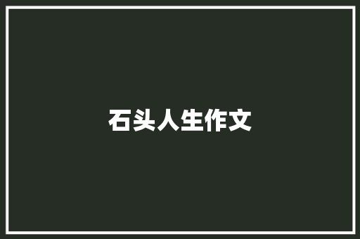 石头人生作文