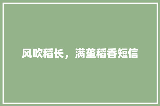 风吹稻长，满垄稻香短信