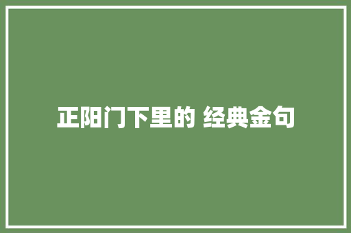 正阳门下里的 经典金句 休闲娱乐
