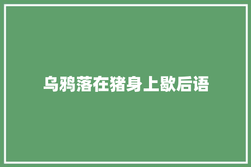 乌鸦落在猪身上歇后语