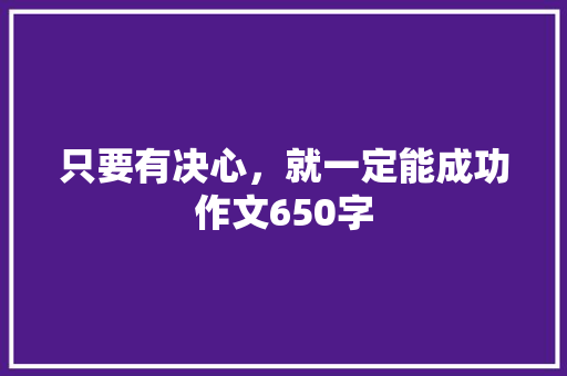 只要有决心，就一定能成功作文650字
