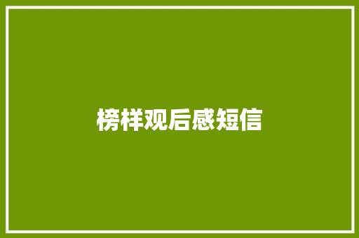 榜样观后感短信