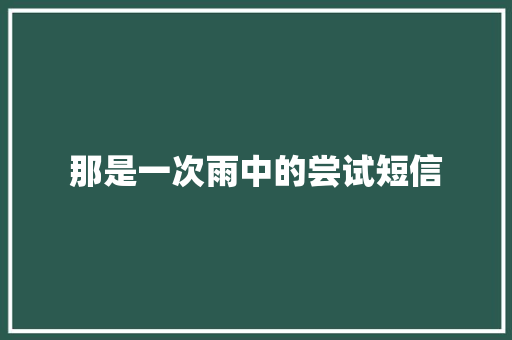那是一次雨中的尝试短信