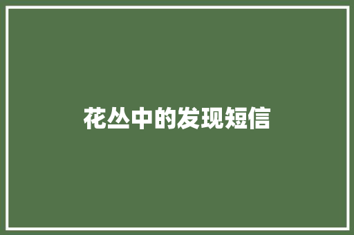 花丛中的发现短信