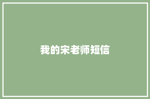 我的宋老师短信