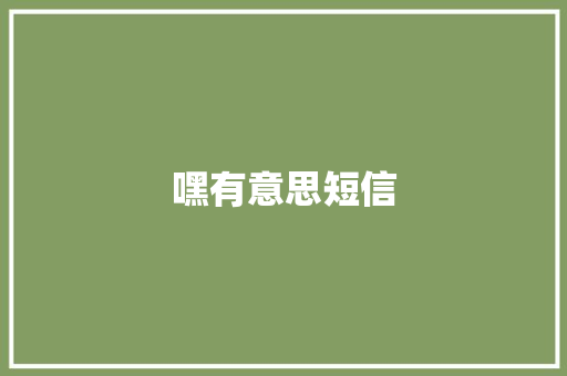 嘿有意思短信