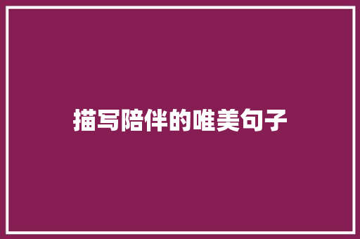描写陪伴的唯美句子