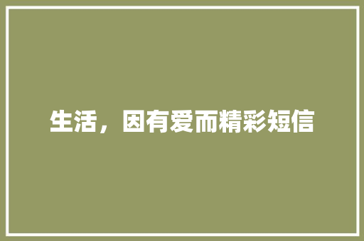 生活，因有爱而精彩短信